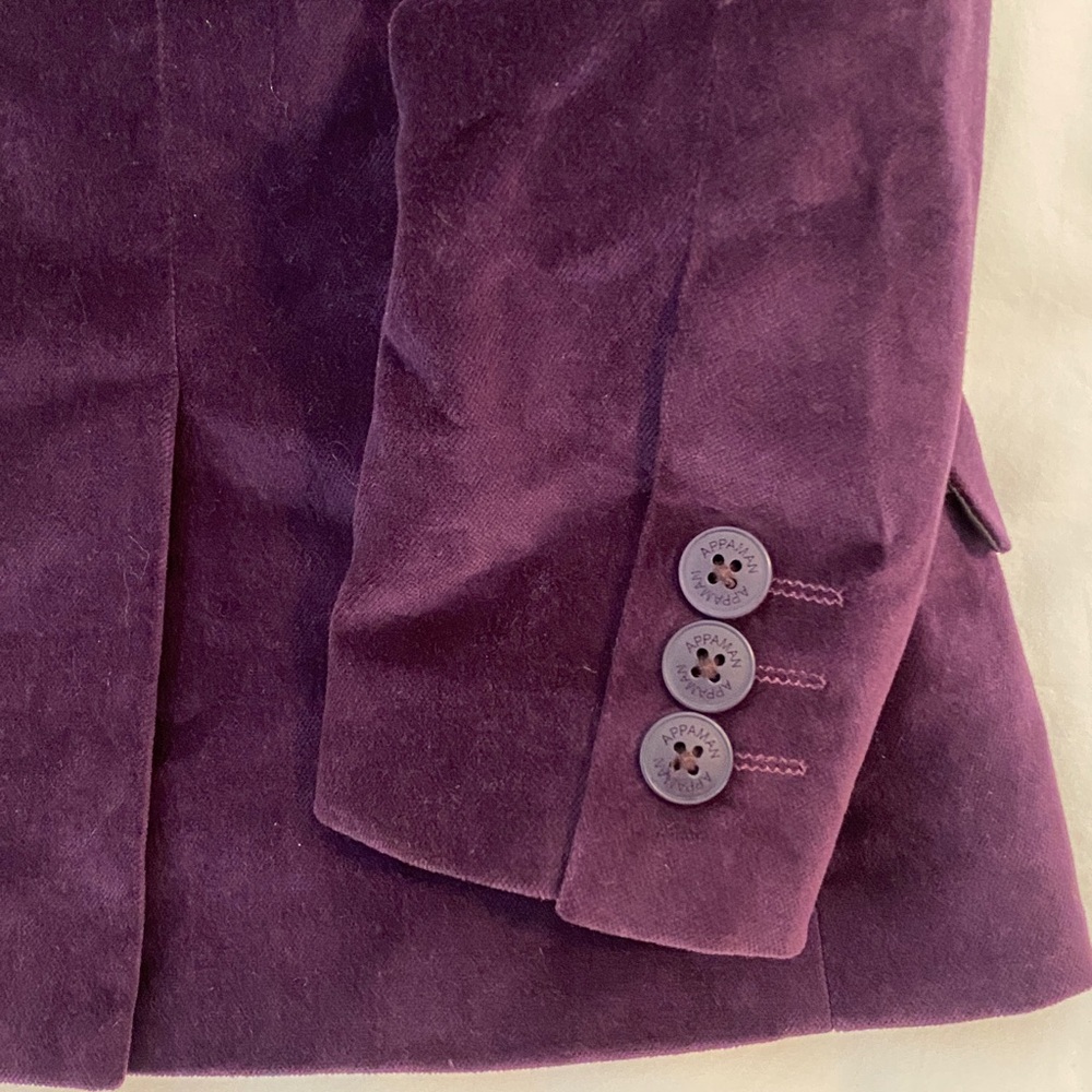 Appaman Kids Velvet Blazer and Pants Suit - Picture 6 of 7